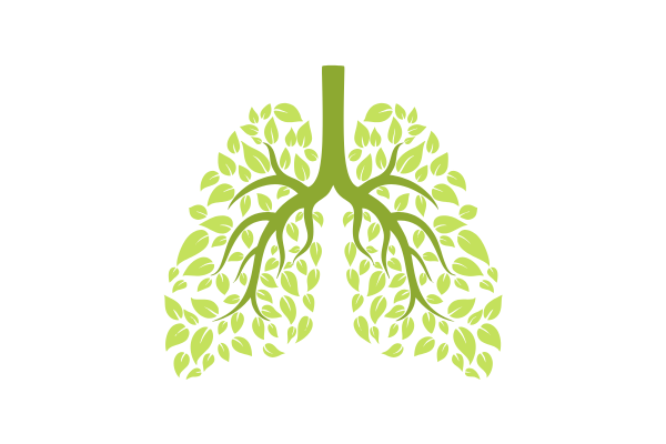 Santé respiratoire