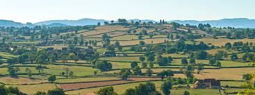 Pourquoi choisir la Bourgogne du Sud ?