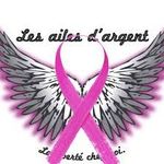 AIDE A DOMICILE LES AILES D ARGENT TOULON SUR ARROUX